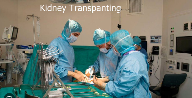 France Best Kidney Transplant  Hospital